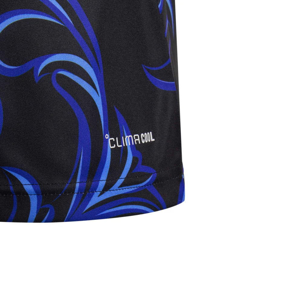Argentina 2026 Away jersey